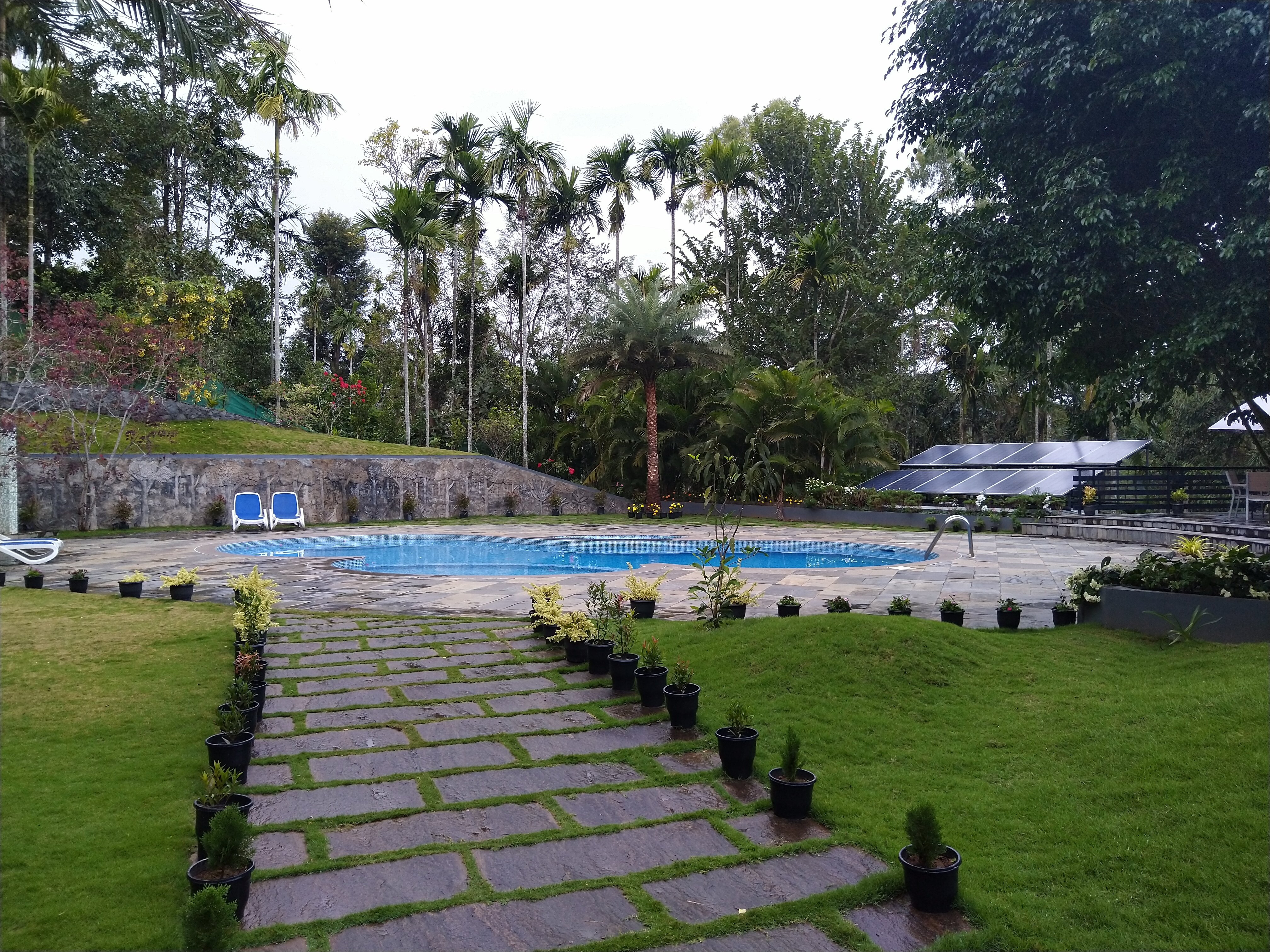 The Woods Resorts Wayanad-泳池