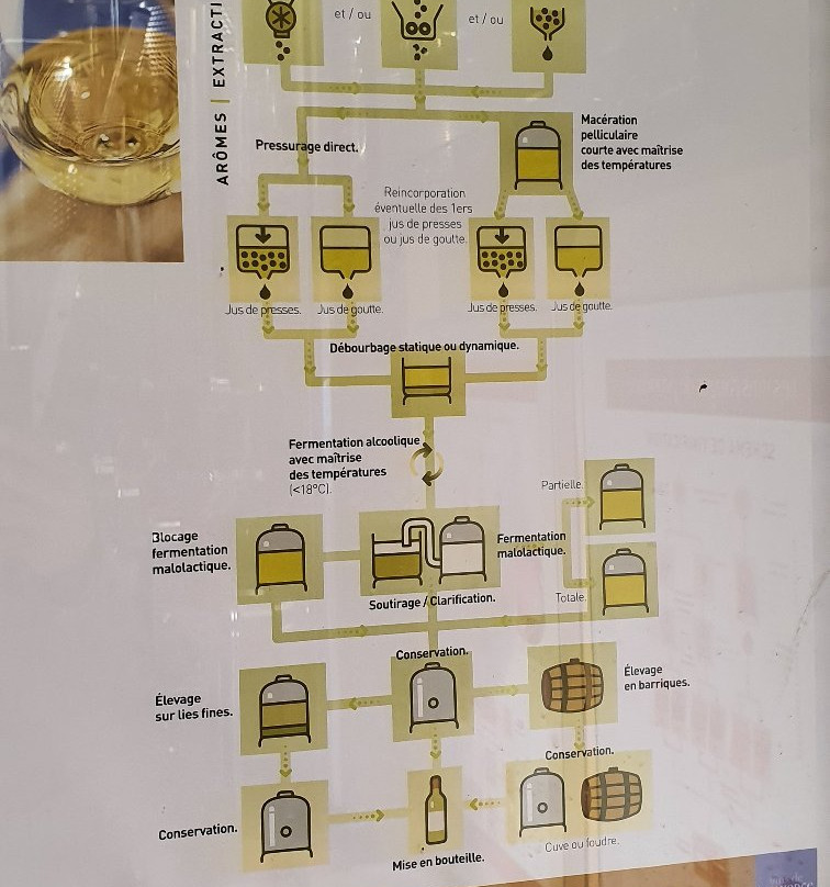Domaine des Beaucas-圣马克西姆必去景点
