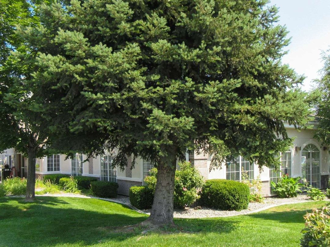 Comfort Inn Lehi - Thanksgiving Point Area主图