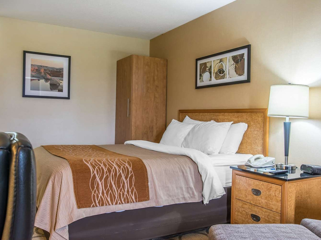 Comfort Inn Magnetic Hill主图