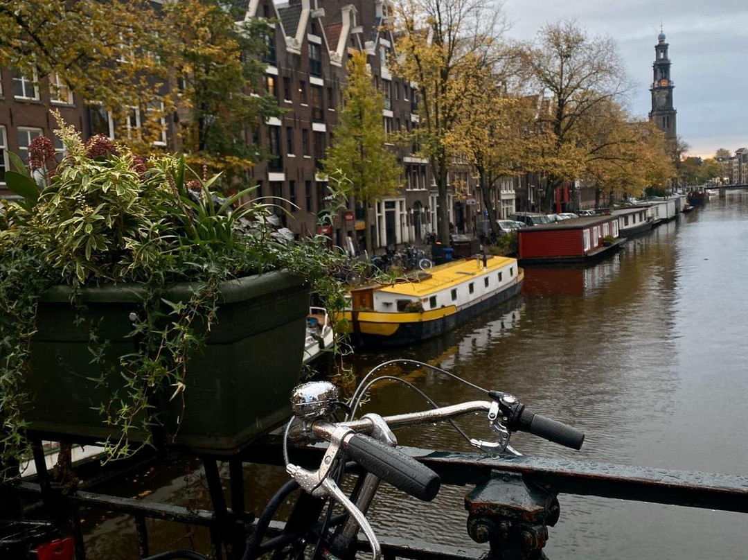 Amsterdam City Tours景点图片