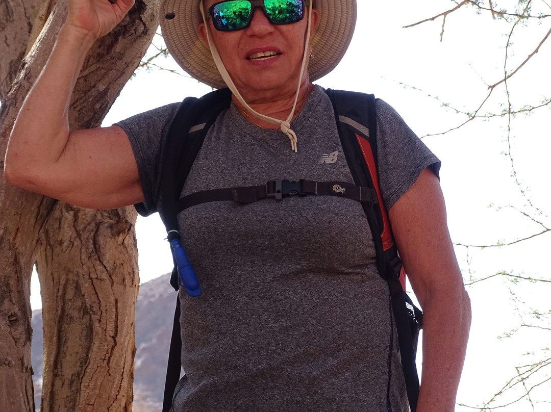 Timna Park-埃拉特必去景点