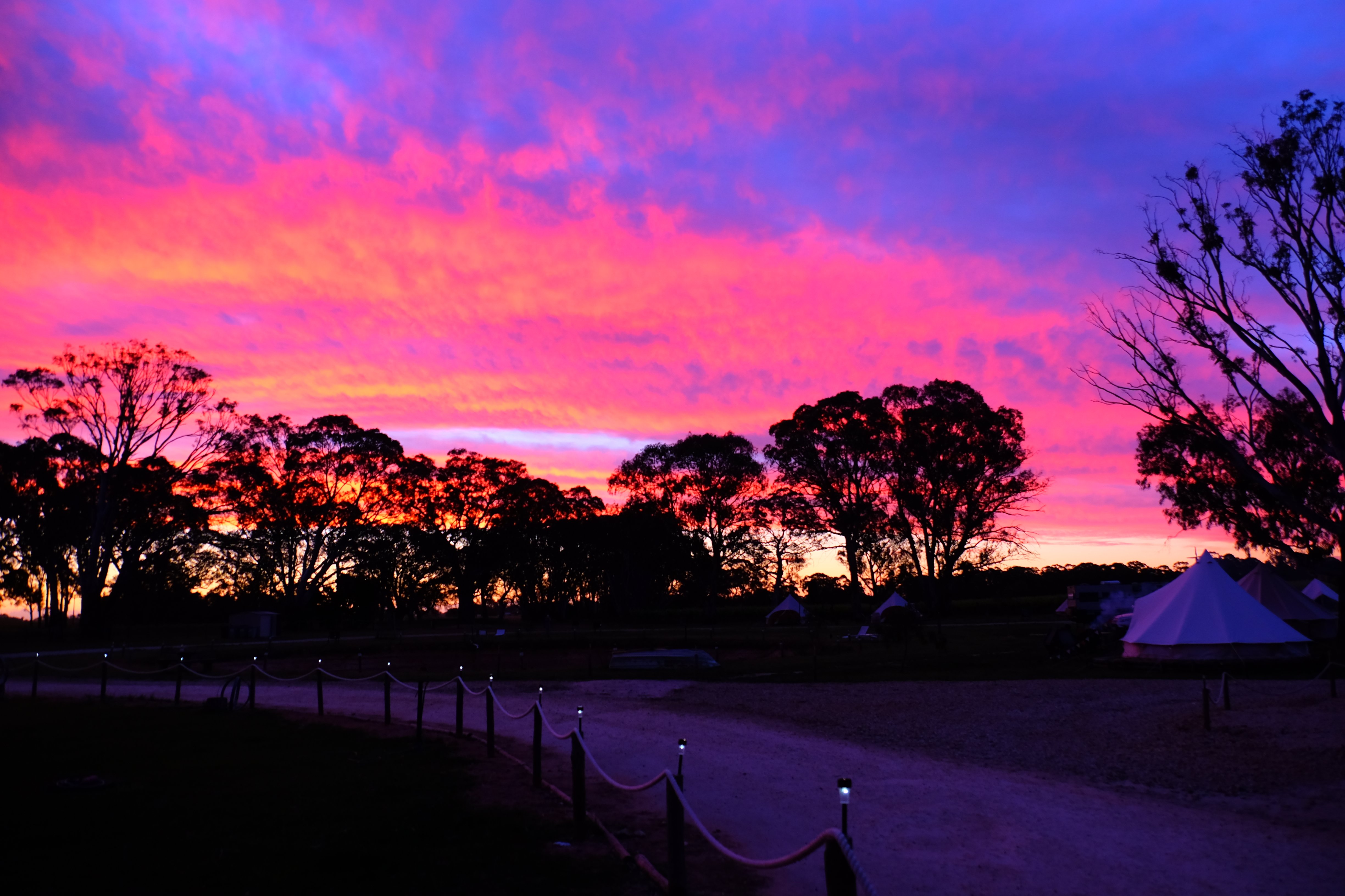 Coonawarra Bush Holiday Park-浴室
