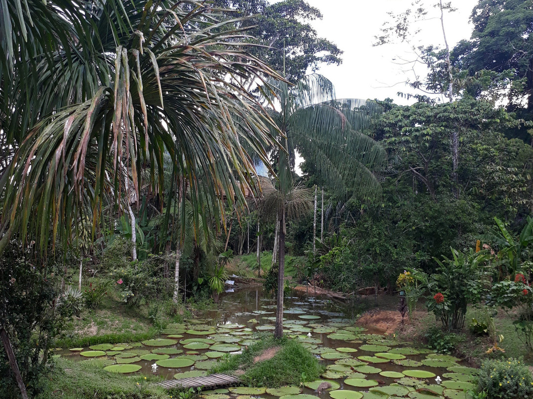 El Jardin de la Victoria Regia景点图片