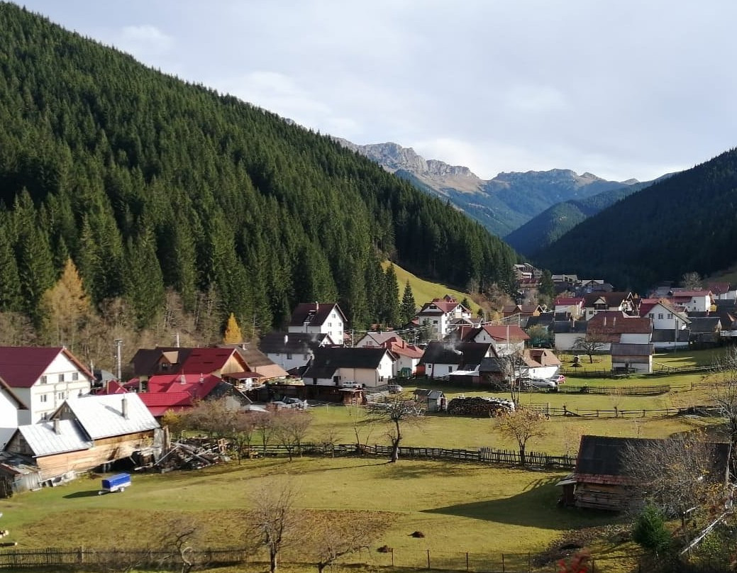 Pensiunea Poiana Soarelui