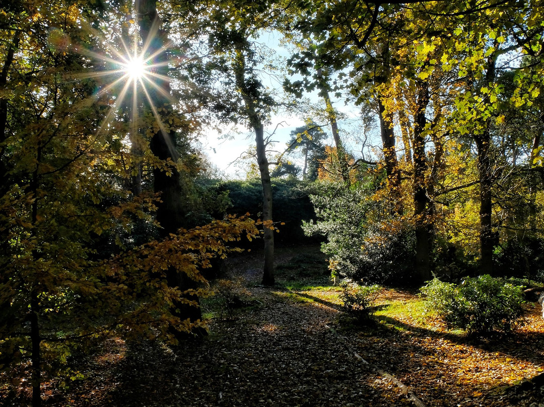 Sheringham Park-Sheringham必去景点