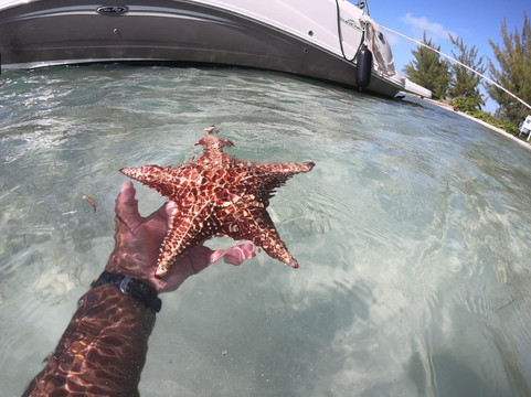 Blue Ocean Tours-乔治城必去景点