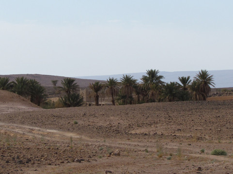 L'oasis Sacree-El Gouera必去景点