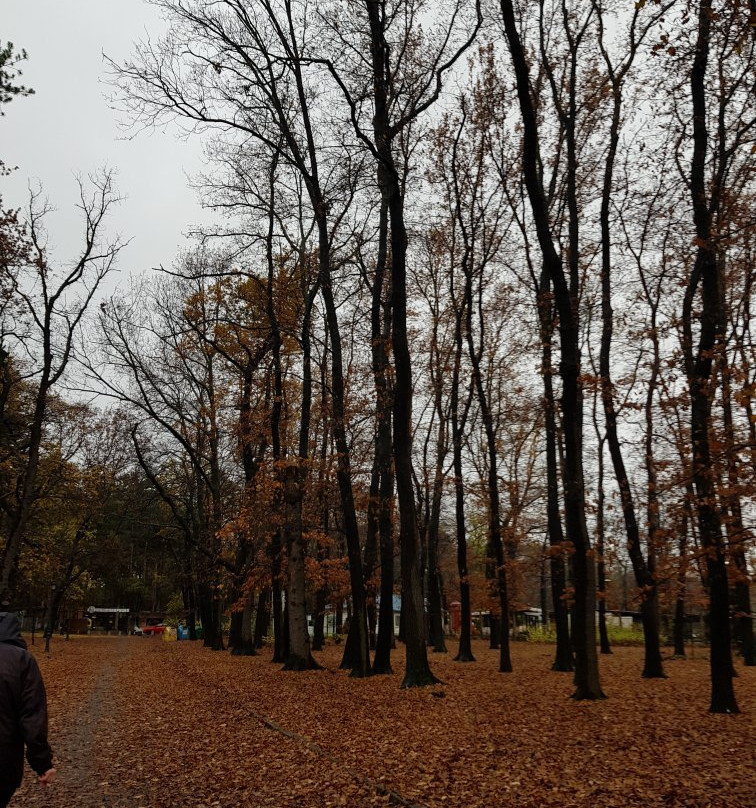 Zapaden Park-索非亚必去景点