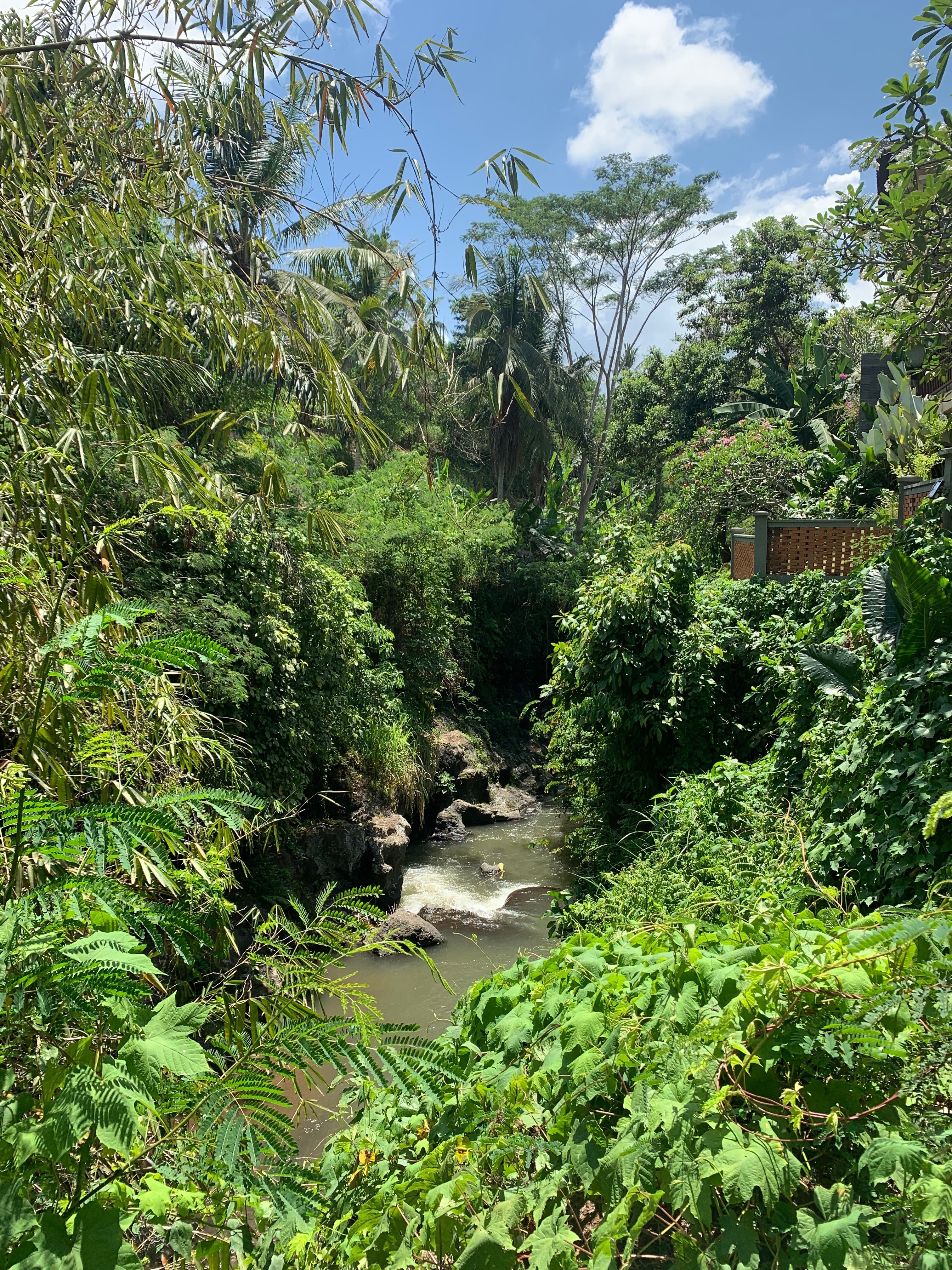 Seres Springs Resort & Spa-泳池
