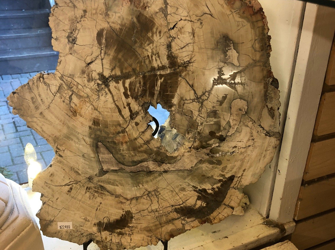 ZuZu's Petals Rock Shop-海伦必去景点