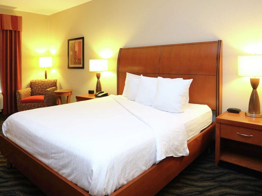 Hilton Garden Inn Chesapeake/Suffolk主图