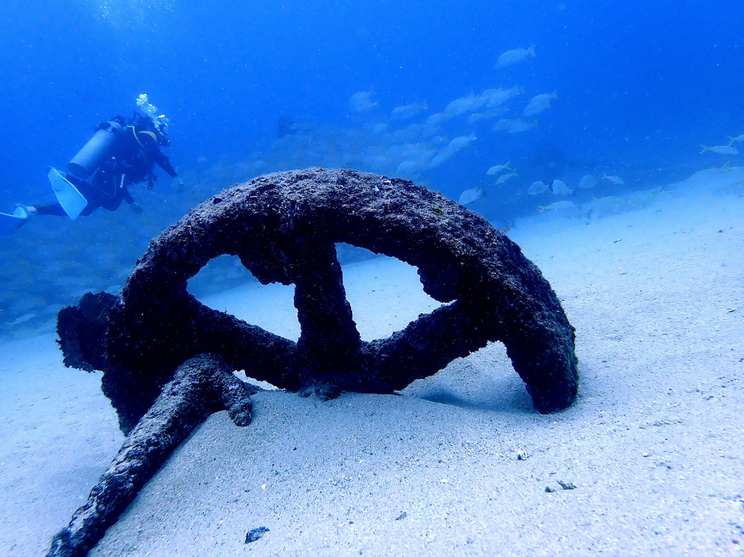 Mar y Sierra-Cabo Pulmo必去景点