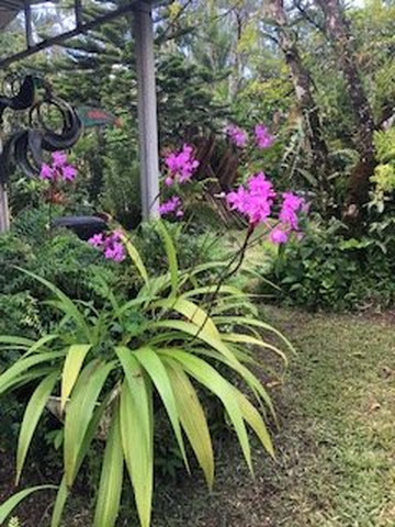 Souvenir Leo-福德圣卡洛斯必去景点