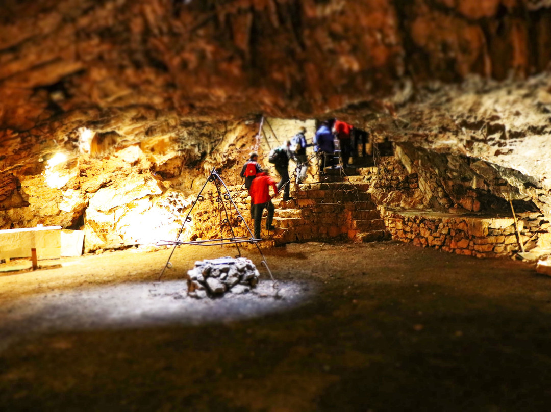 Zeliscna Kmetija Rogelja-Kostanjevica na Krasu必去景点