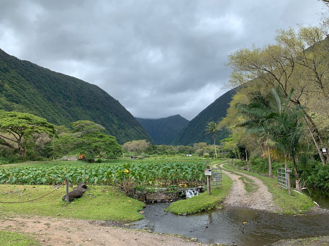 All About The View-夏威夷大岛必去景点