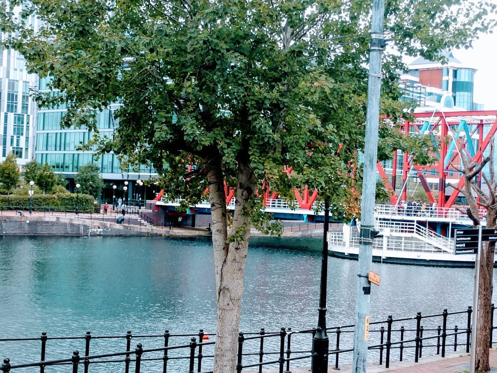The Quays景点图片