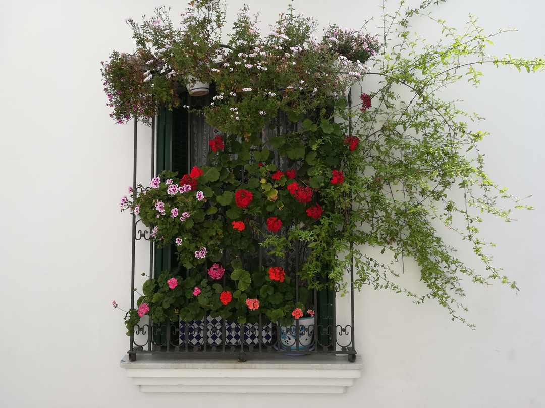 Agisitges-锡切斯必去景点