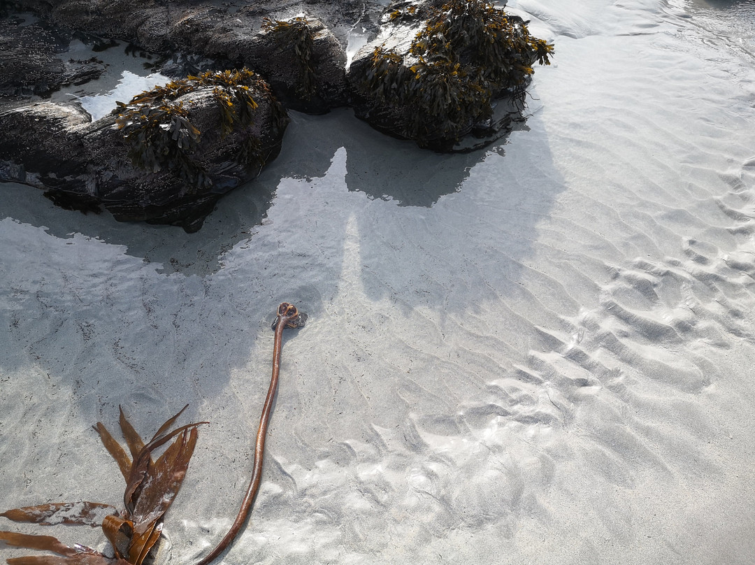 Ardalanish Bay Beach景点图片