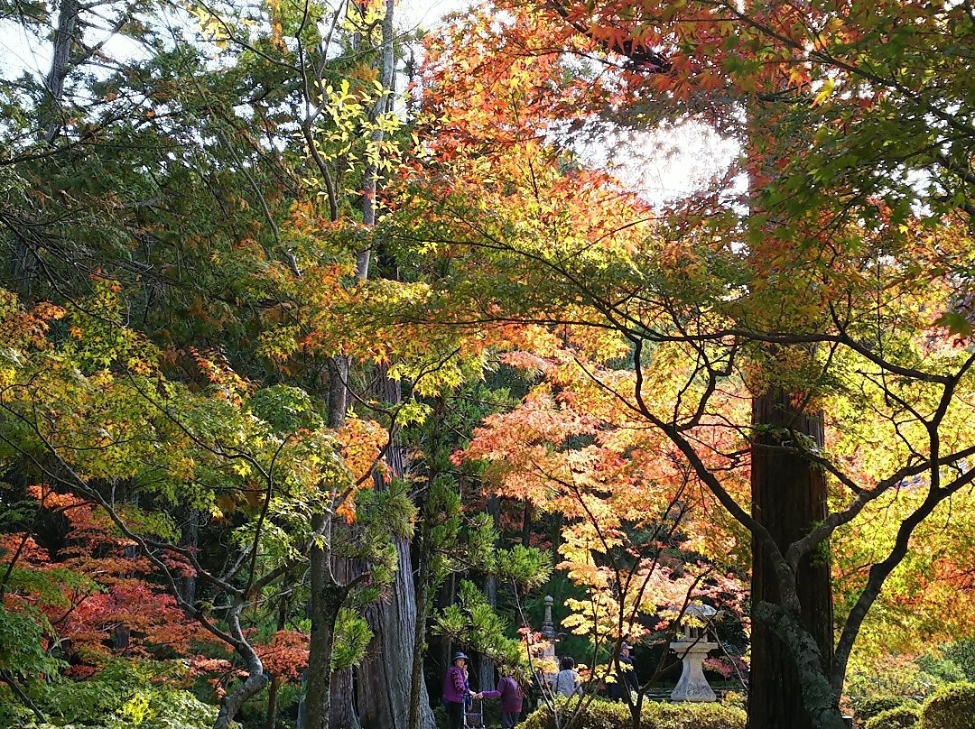 Iyama Hofukuji Temple景点图片