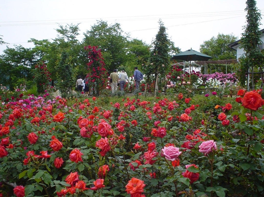 Sosho Park-南阳市必去景点