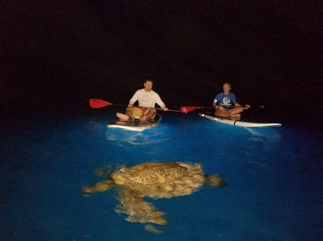 Glow SUP Maui-Makena必去景点