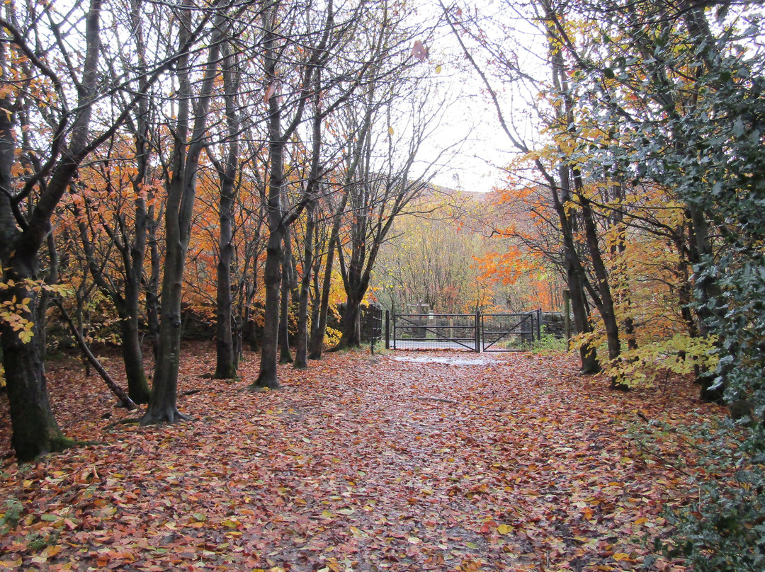 Longdendale Trail-Glossop必去景点