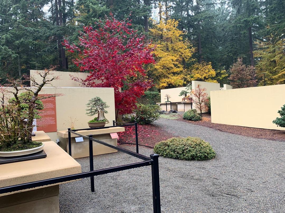 Pacific Bonsai Museum景点图片
