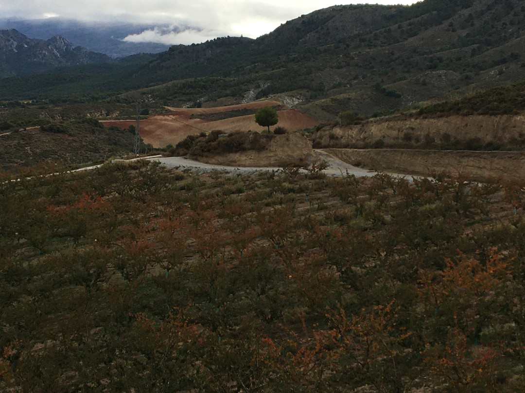 Parque Nacional de Sierra Nevada景点图片