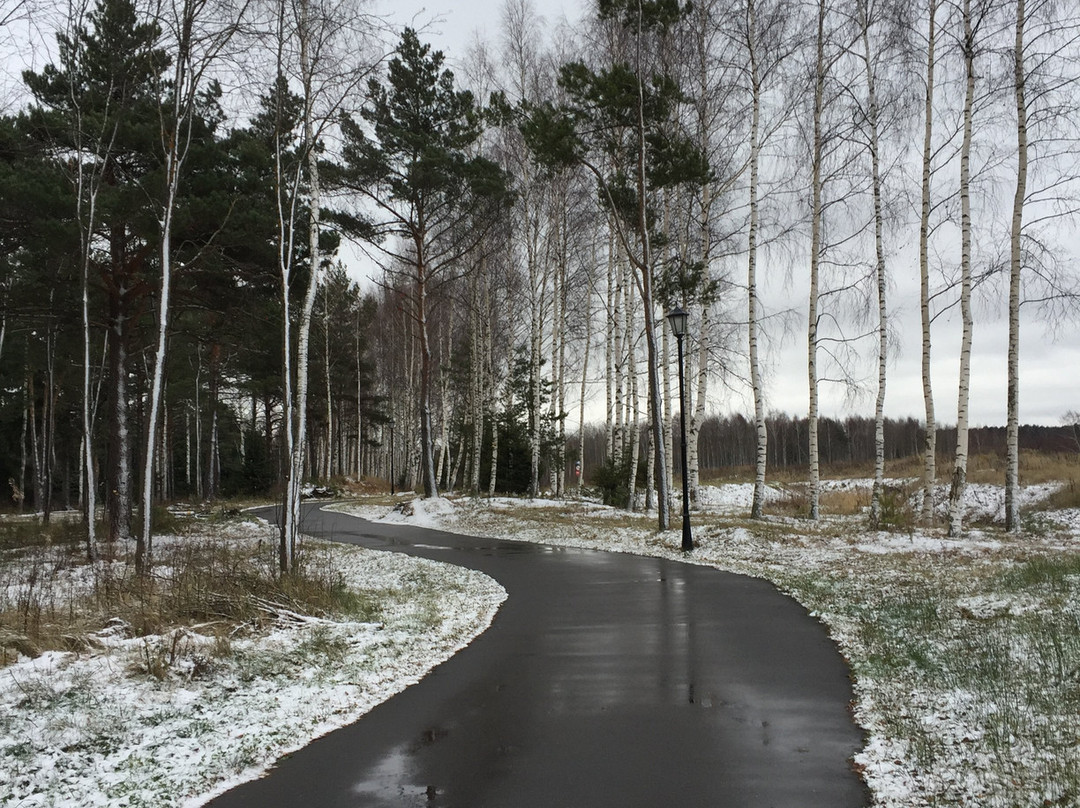 Radisson Resort, Zavidovo主图