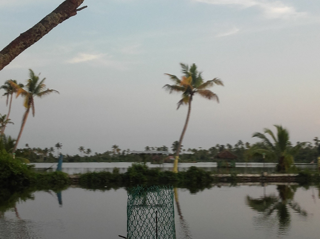 Matsyafed Fish Farm景点图片