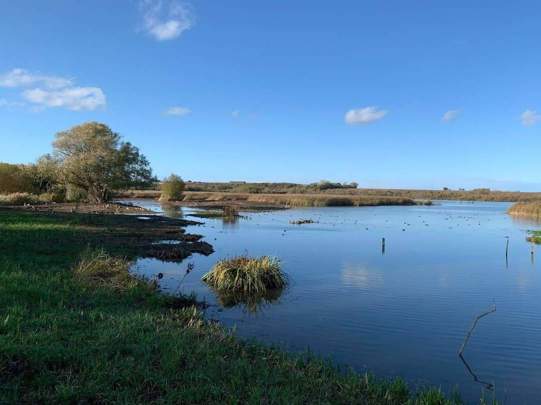 Stodmarsh National Nature Reserve景点图片
