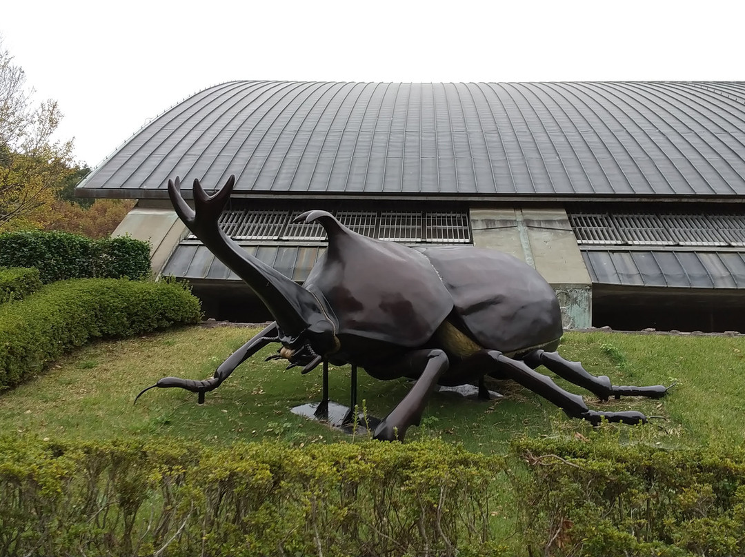 Gunma Natural Museum景点图片