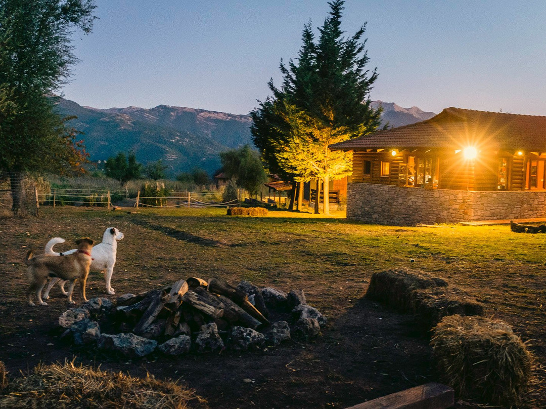 Orias Guesthouse & Farm主图