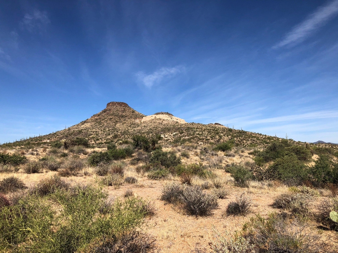 Brown's Ranch Trailhead-斯科茨代尔必去景点