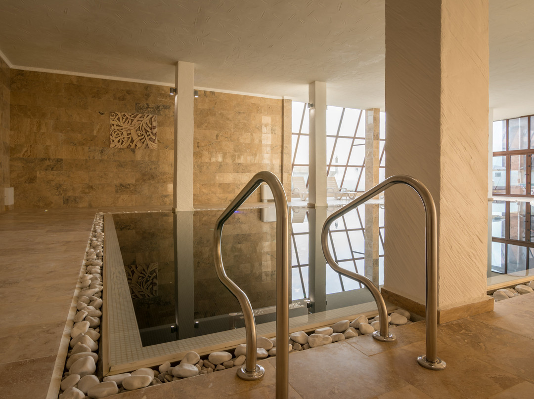 Complex Katalina主图