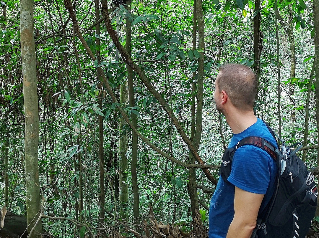 Bukit Lawang - Jungle Trekking Sumatra-武吉拉旺必去景点