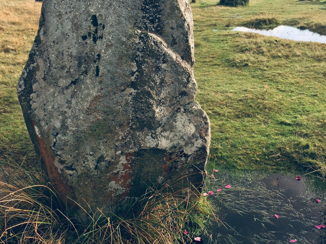 Gors Fawr Stone Circle景点图片