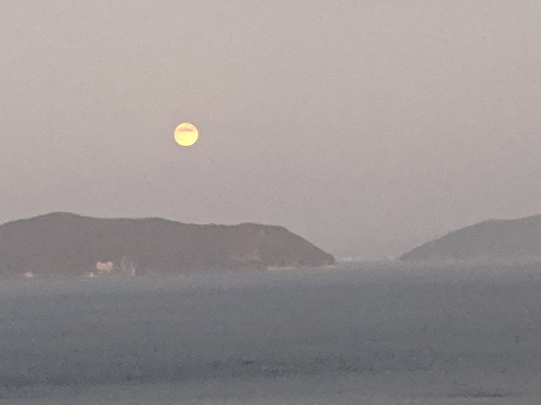 Ile d'or Cafe&Guesthouse主图