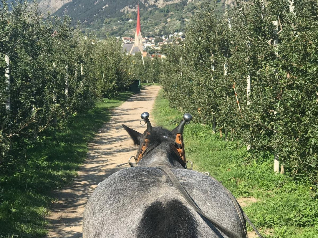 Bio Landhotel Anna主图