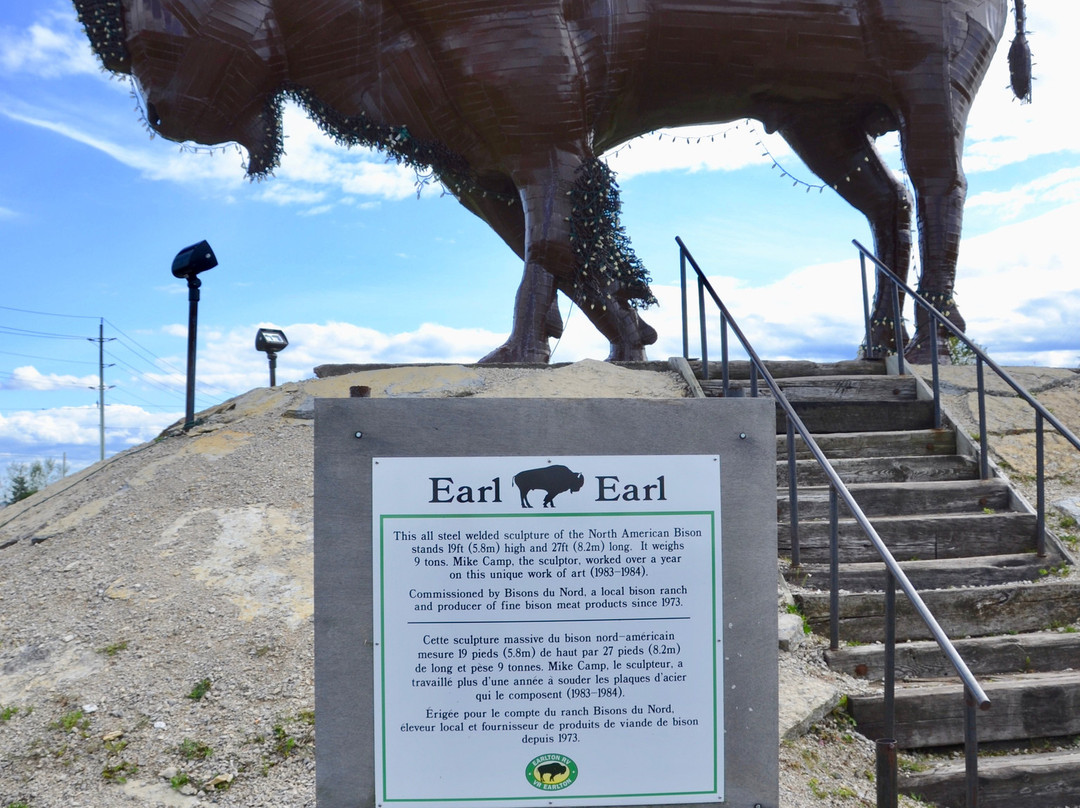 Earl The Bison