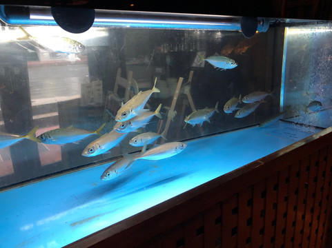 松户市站前酒店主图