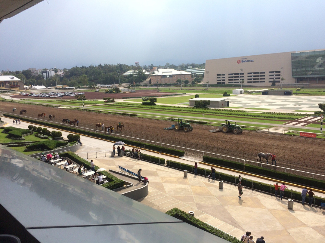 Hipodromo de las Americas景点图片