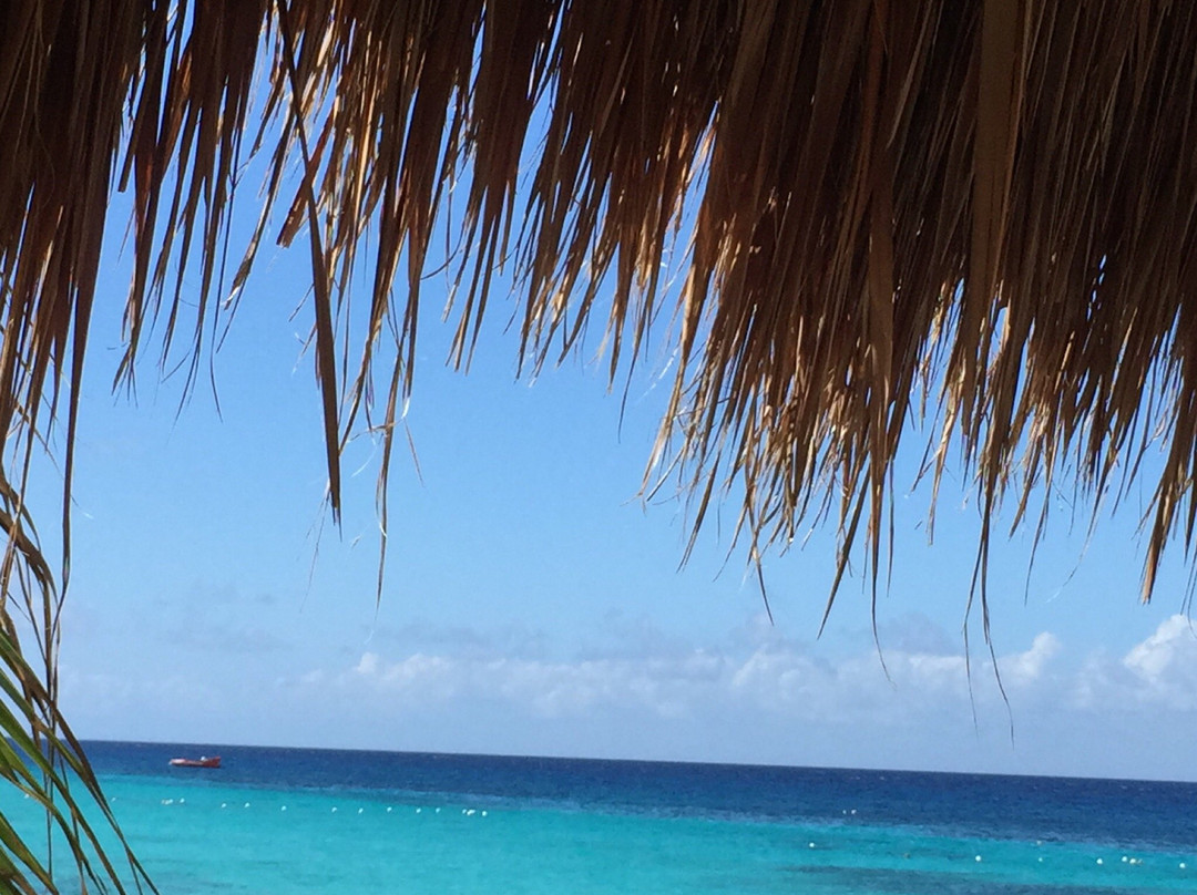 Beach Break Cozumel-考祖梅必去景点