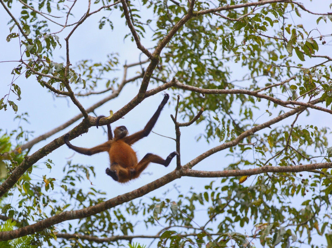 Travel Around Costa Rica Transportation and Guides景点图片