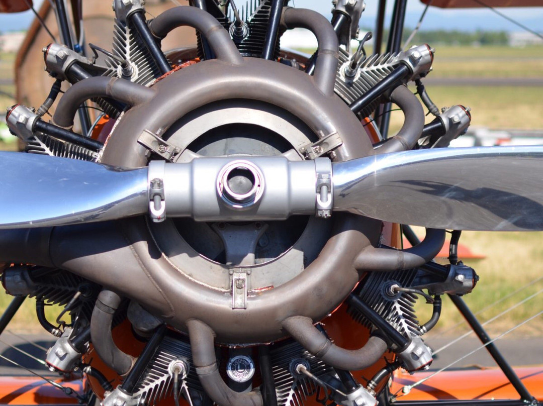 Northwest Plane Rides