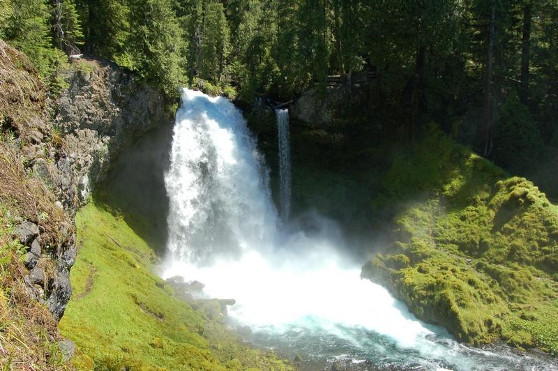 McKenzie River National Recreation Trail景点图片