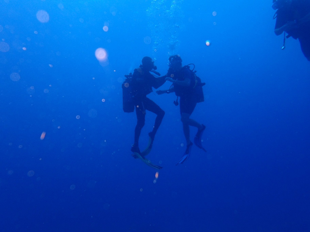 Archipel Plongée-Bouillante必去景点