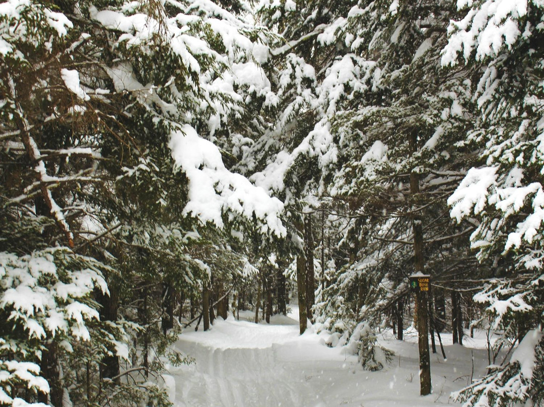 Mountain Trails Cross Country Ski Center景点图片