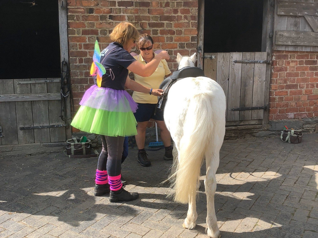 Walcot Stables